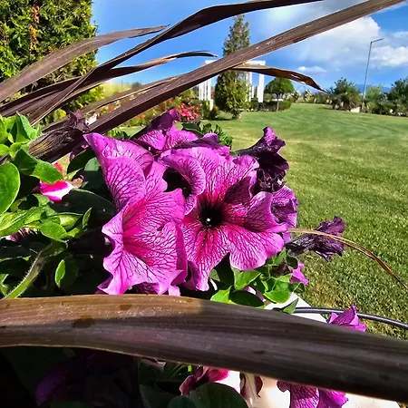 Diamond Sarafovo By Kp - Luxury Collection, 5 Апартамент Бургас