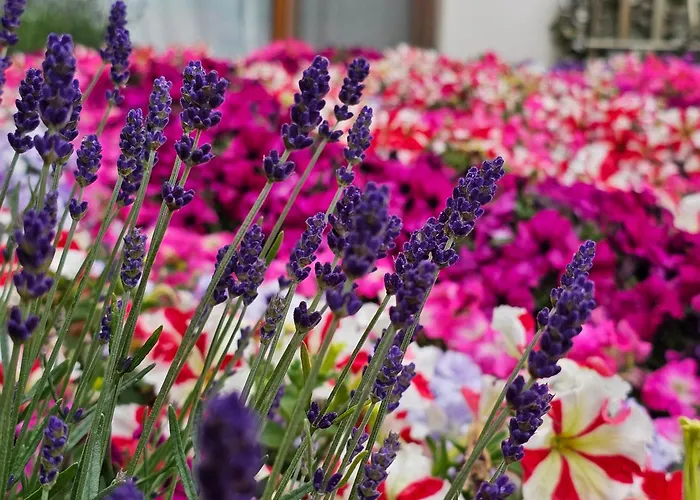 Апартамент Diamond Sarafovo By Kp - Luxury Collection, 5 Бургас