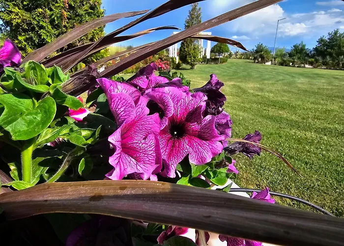 Diamond Sarafovo By Kp - Luxury Collection, 5 Апартамент Бургас